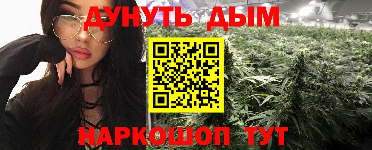 Конопля план Реутов